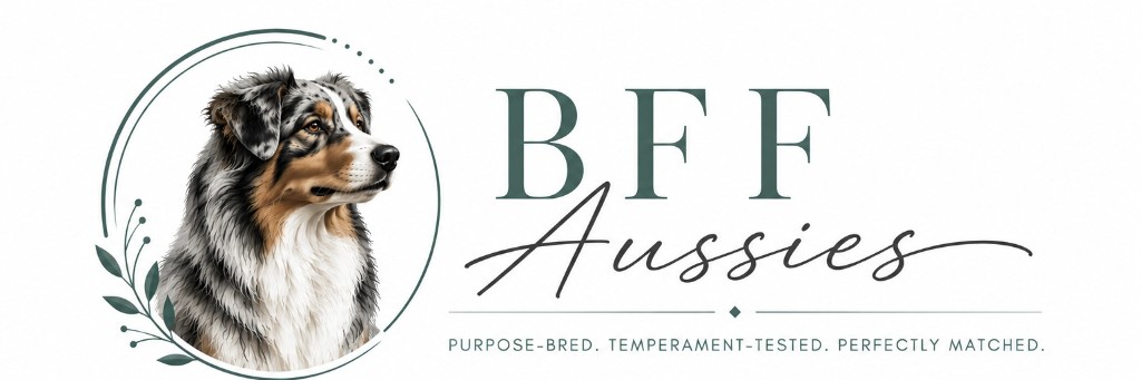 BFF Aussies logo