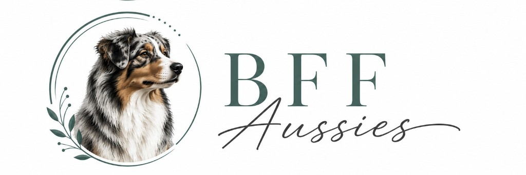 BFF Aussies — Australian Shepherd breeder in Placerville, California