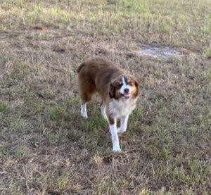 c820fb15-38d9-49ee-a3ee-55aab3519032