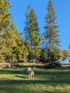 08a5e20e-a8b0-480a-ba9c-9b2dd6104a50