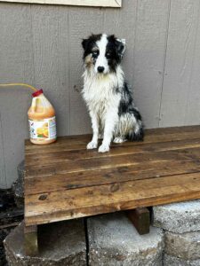 37ea4560-ab39-4ba4-991d-9fe6ff6994ad