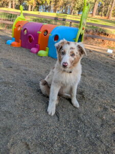 4381bf45-4d54-4c8d-abd7-0e8598e3f068