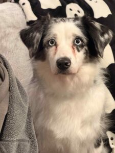 4486a4ed-92cf-4ac9-827d-13d15f3c2d1b