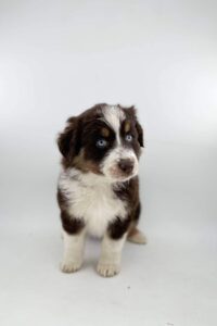 476963226_1207593647457338_3091693486165289639_n