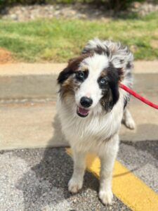 5f673853-6c66-4d6a-809e-76931e761348