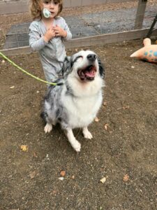 6483c15a-aecf-4fc6-97d6-b217c716a7b1