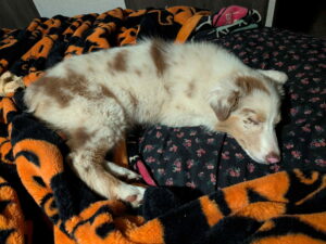 78d6c0d1-8ee2-4e8e-a368-e0b3dcc2a08a