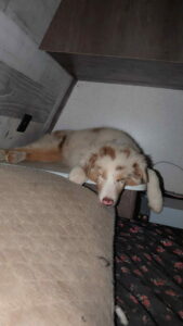 840deed7-d7a3-47e0-b134-5d1870d83db0