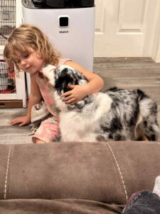 9b17ea70-ab19-4bc3-b427-c03d0a080b41