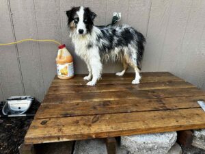 a43e4e09-fed5-416a-8c83-03f6f6696aa4