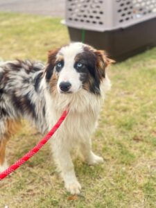 a8ba1df1-954c-46e7-82b8-bf04d4950ca2