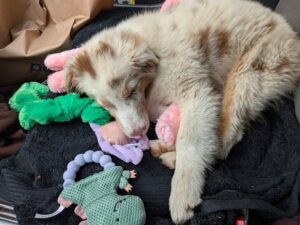 b179c416-9ae0-4cde-9b00-3e172e65890d