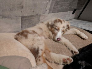 f936bb8b-baa8-4cb2-ad13-c098fa1a037a