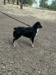 486846bc-5f15-4e5c-b463-d8390be36906