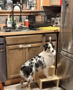 565483c8-5f76-428b-86cb-5c68089a624d