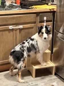 73da2f08-6750-47a5-bf6a-6cfb8d0f1fd3