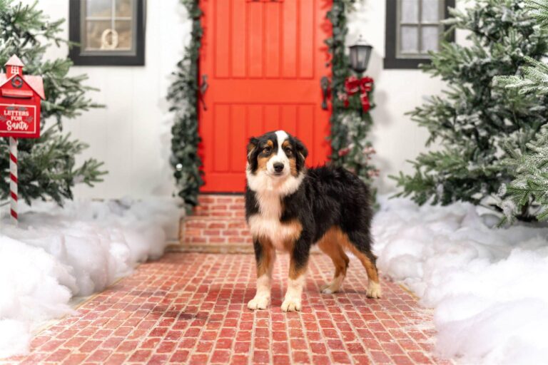 584929502_3226356427526614_6935337305059520535_n