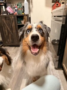 becd5f6a-b43a-4093-9bb4-a1b005762fa7